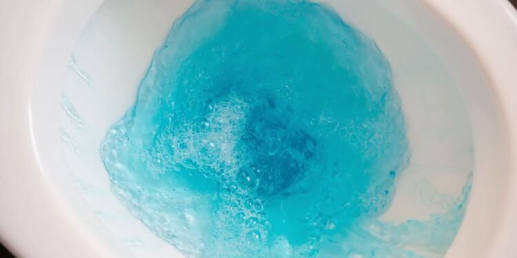 Can You Make Toilet Water Blue Tips and Suggestions 